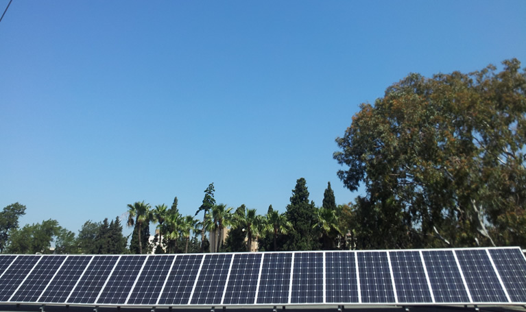 Lebanese University Tripoli